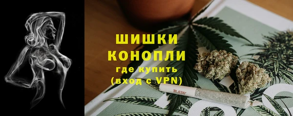 ECSTASY Новодвинск