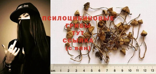 MDMA Нефтекумск